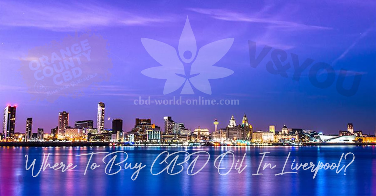 Where can I Buy cbd oil in Liverpool: A blog discussing where to buy cbd oil in Liverpool.