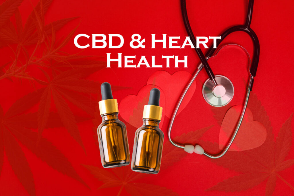 CBD and Heart Health: What the Studies Show