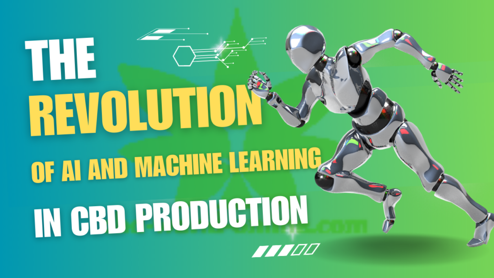 The Revolution of AI and Machine Learning in CBD Production: A New Era of Quality and Efficiency