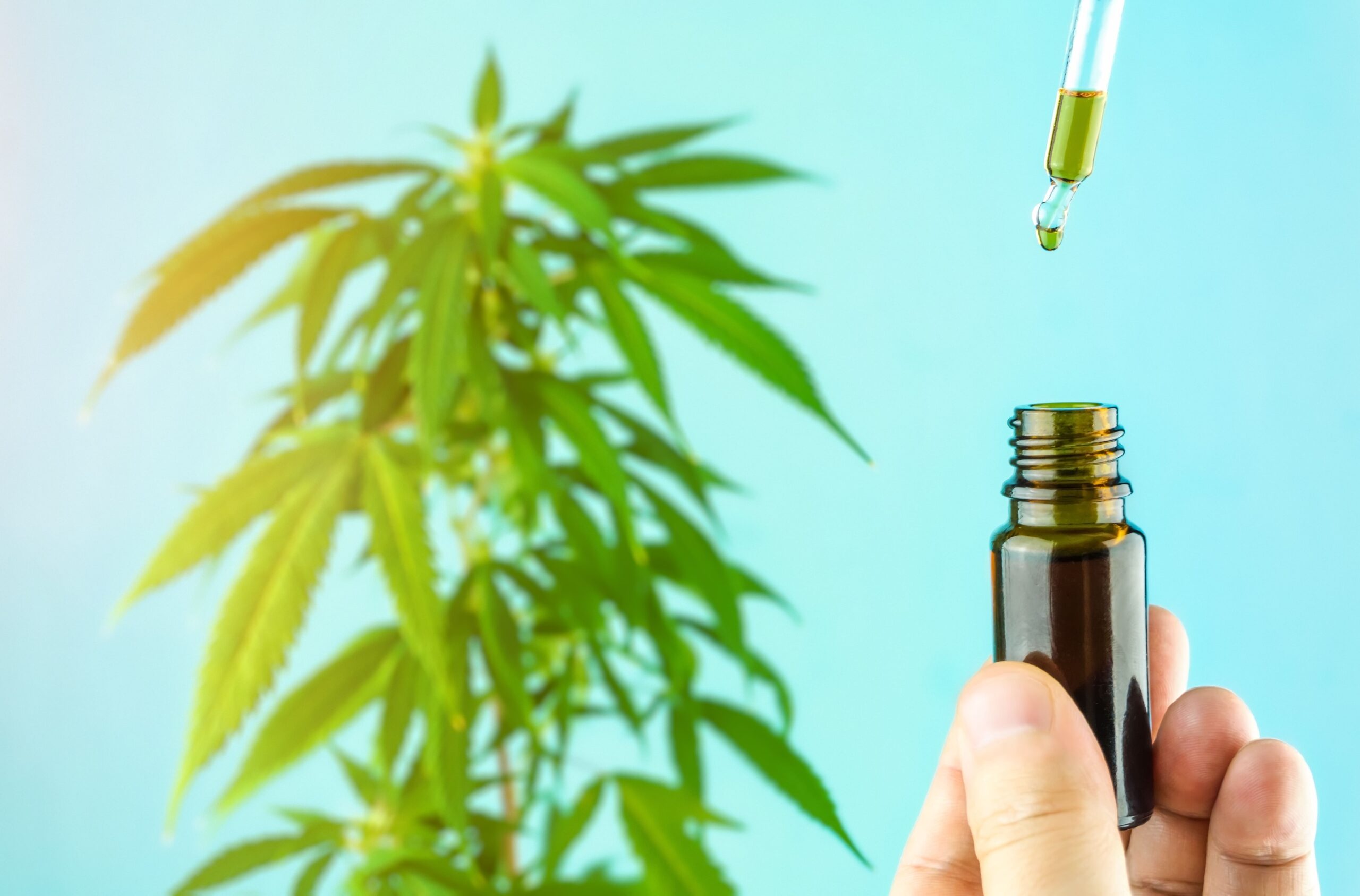 The Comprehensive Guide to CBD Oil: Understanding Its Benefits, Production Process, and How to Choose High-Quality Products